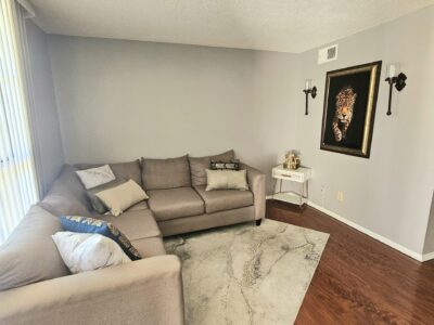 coach, photo and rug in living room