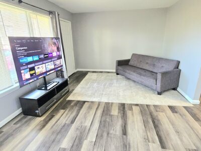 tv, couch and rug in living room
